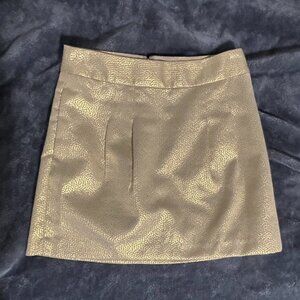 Gold Banana Republic Skirt Size 2